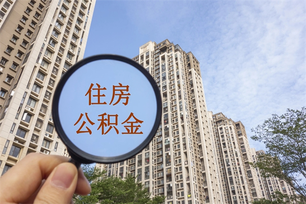 新昌深圳公积金（深圳公积金首页）